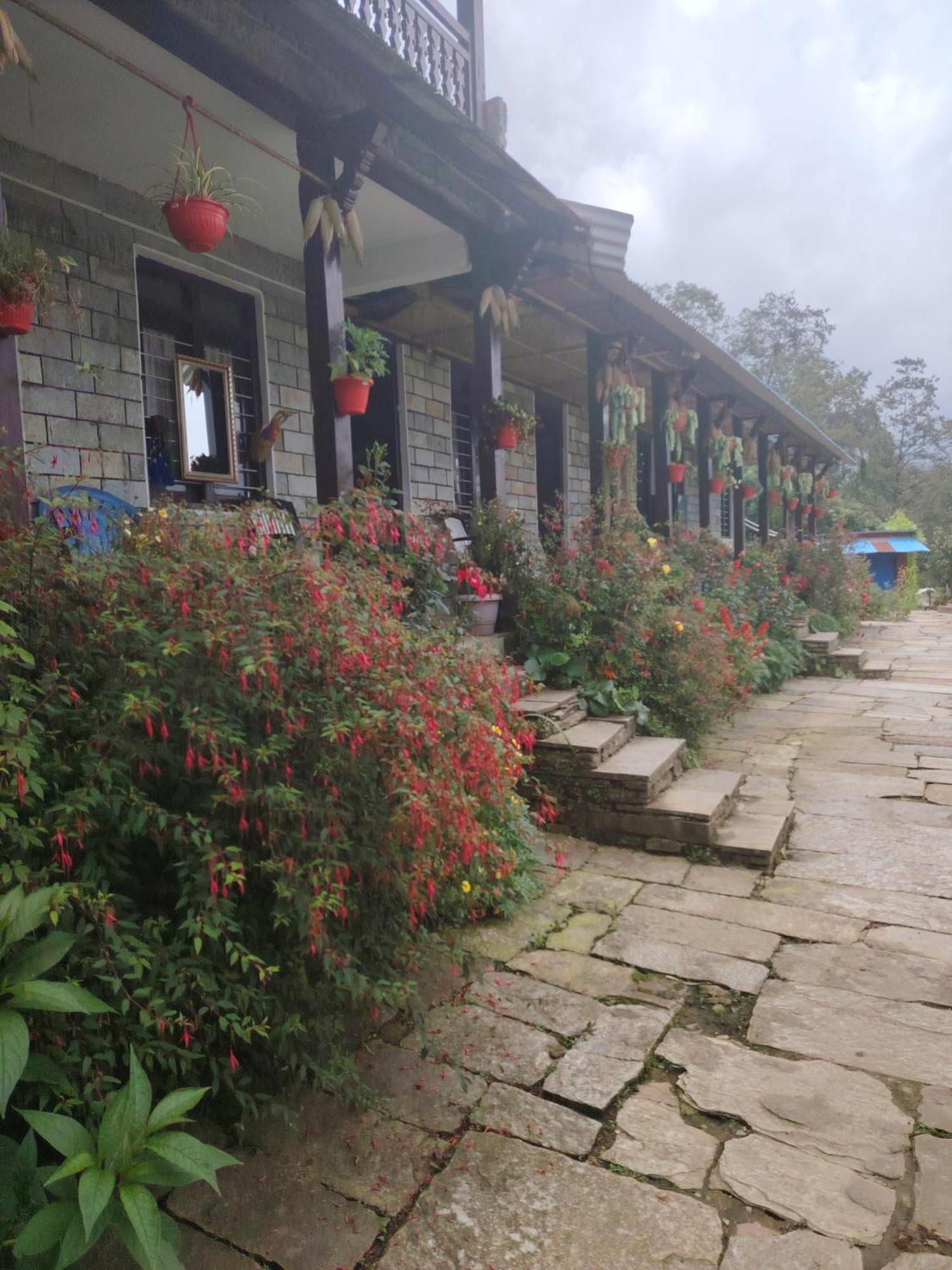 Panorama View Point Lodge And Restaurant, Annapurna-10, Ghandruk ,Agarju Astam ภายนอก รูปภาพ